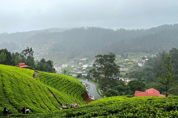 Ooty
